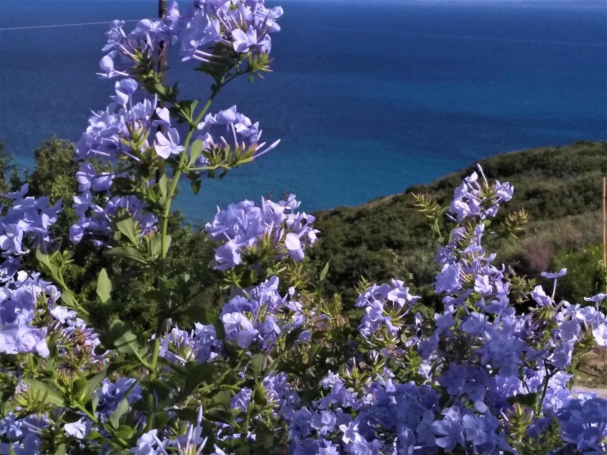 فيلا Kaminia Blu Ratzaklíon المظهر الخارجي الصورة